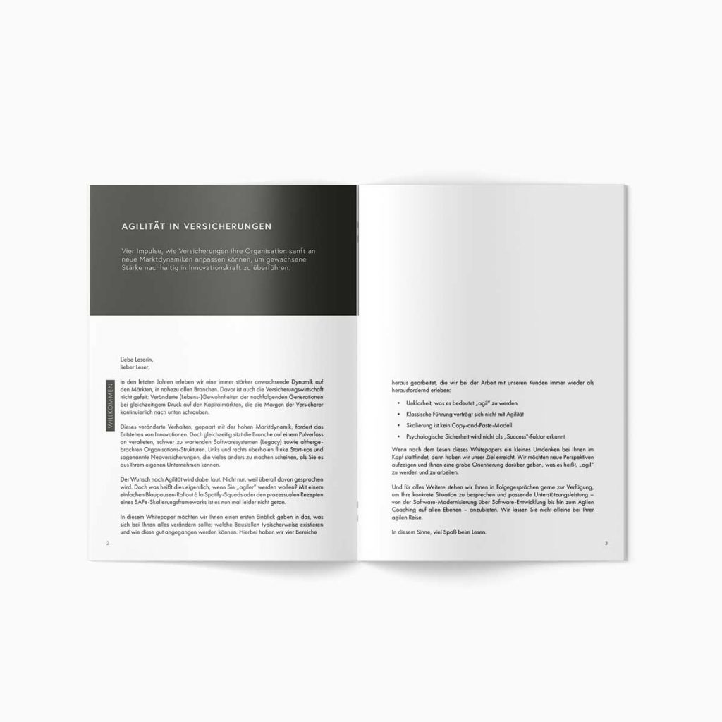 Vorschau auf das Vorwort im Whitepaper